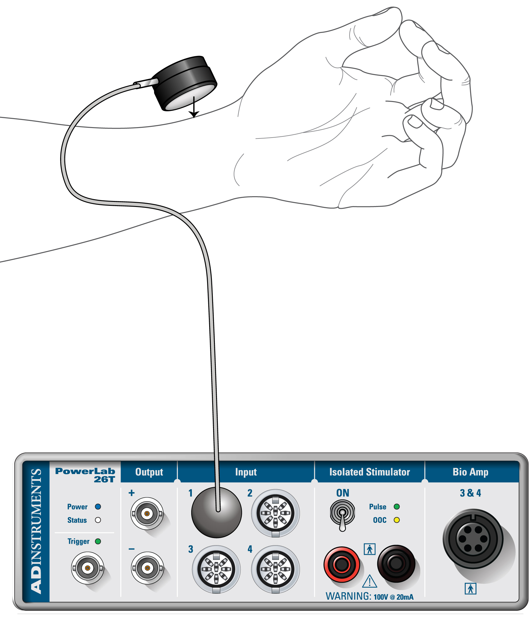 Settings for Sampling Panels in Lt - Pulse and Heart Rate